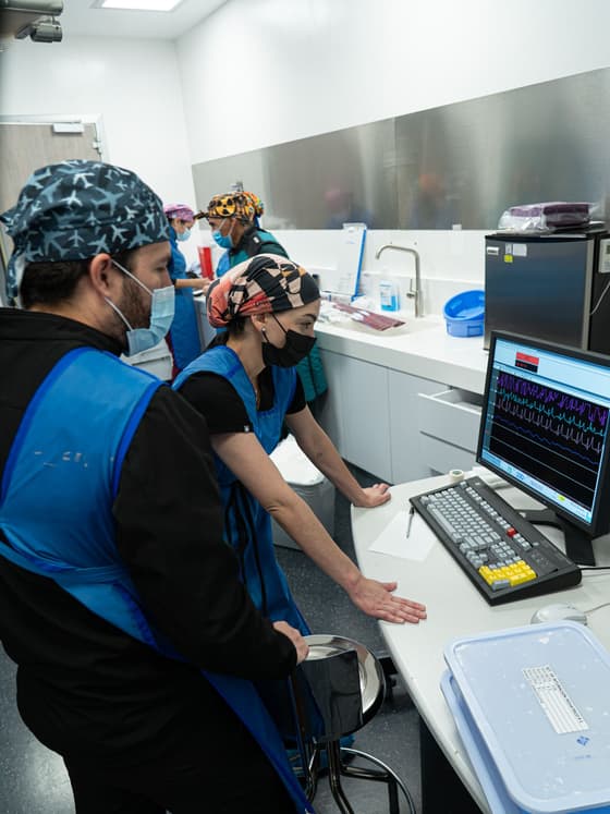 Los doctores revisando juntos el trazo de los signos vitales en el monitor de terapia intensiva.